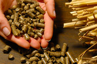free Tintagel biomass boiler quotes